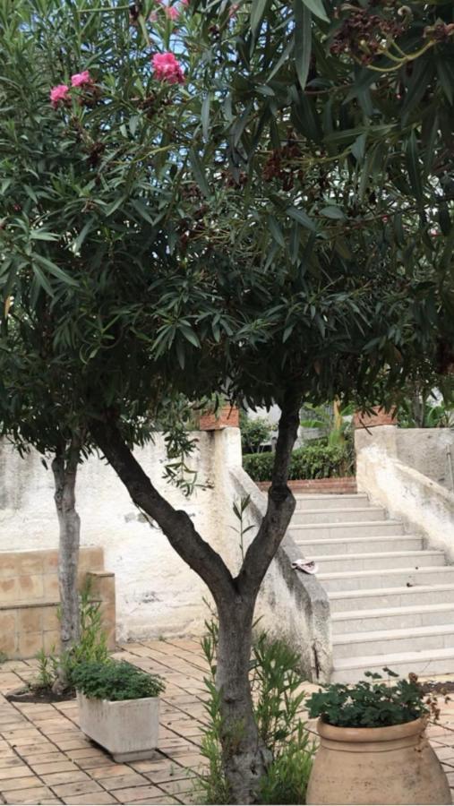 Emily Home Giardini Naxos Exterior photo
